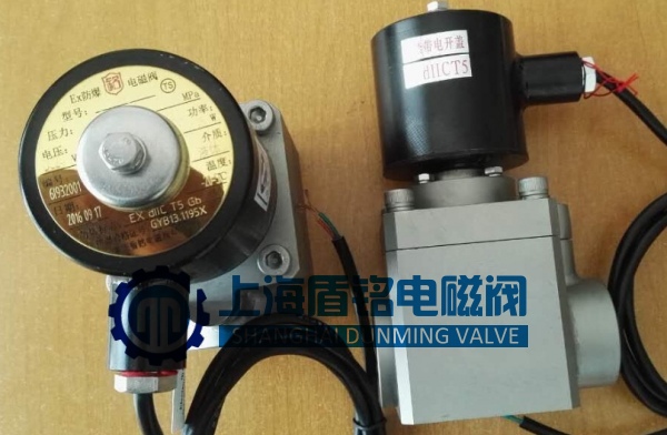 管接高壓防爆電磁閥